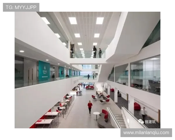 八大胜体育深度解读体育行业发展趋势与未来创新方向